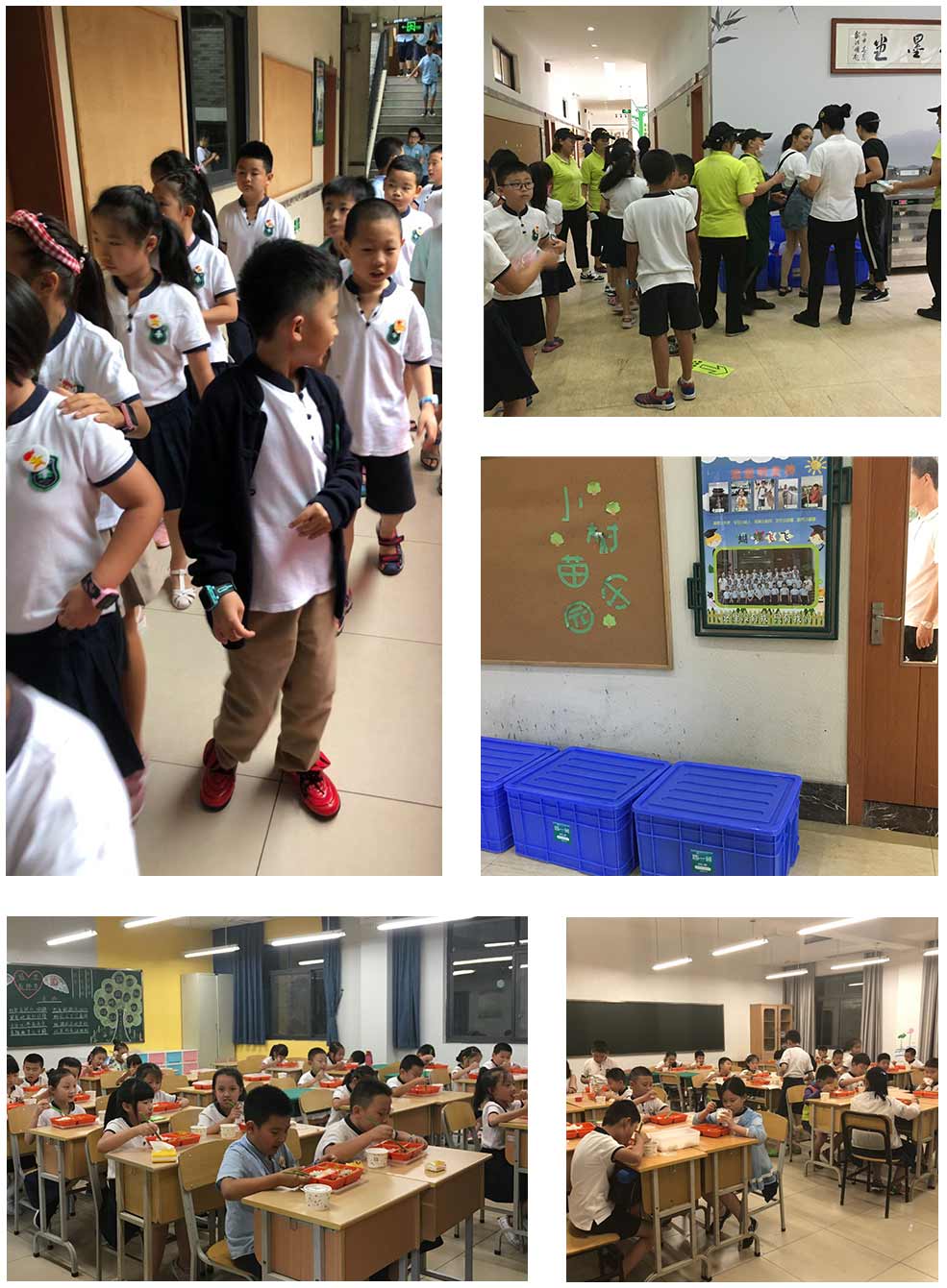 1540982880.jpg 圖1.jpg